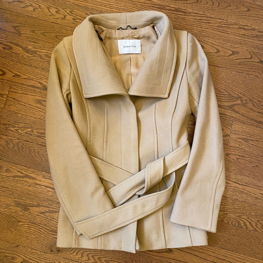 BABATON Aritzia- Connor coat- SHORT